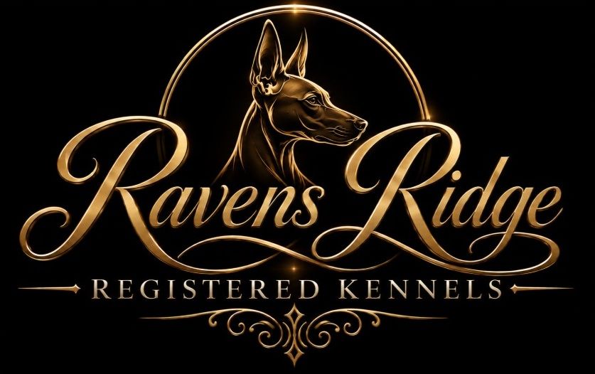 Raven's Ridge